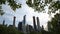 New York City Skyscrapers Framed By Trees In Central Park