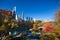 New York City skyscrapers, skyline captured from behind autumn foliage against a blue sky