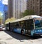 New York City Transit Bus