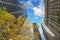 New York City. Upward view of Manhattan Buildings with trees