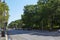 New York empty street near Central Park, green trees