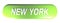 NEW YORK green rounded rectangle push button - 3D rendering illustration