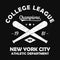 New York grunge print for apparel with baseball bat. Typography emblem for t-shirt. Design for athletic clothes. Vector.