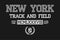 New York slogan typography for t-shirt. NY track and field tee shirt, grunge apparel print. Varsity vintage graphics. Vector