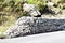 New york state mountain road stones net safety barrier