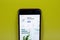 New York, USA - 1 June 2021: Blossom Plant Identifier mobile app logo on phone screen, close-up icon, Illustrative Editorial