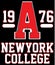 New york Varsity Sport Creative grunge t-shirt graphic design, v