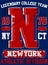 New york Varsity Sport vector print and varsity. For t-shirt or