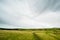 New zealand agriculture. sheep and grassland with cloudy. I