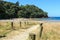 New Zealand beach, summer. Access path to a lovely bay