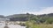 New Zealand beach and swamp forest, Ship Creek on West Coast of New Zealand