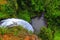 New Zealand Bridal Veil Falls - Nature Park