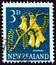 NEW ZEALAND - CIRCA 1960: A stamp printed in New Zealand shows Kowhai tree flowers, circa 1960.