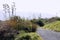 New Zealand Coastal pathway