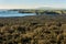 New Zealand coastline with tropical rainforest