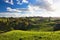 New Zealand Countryside Scenery, Waitomo Area