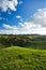 New Zealand Countryside Scenery, Waitomo Area