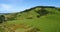 New Zealand Drone Video of Nature Landscape with Sheep on Grass Farmland. Sustainable farming concept showing Idyllic