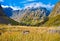 New Zealand Fiordland