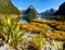 New Zealand, Fiordland, Scenic Mountains Landscape