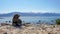 New Zealand Fur Seal of the Point Kean Colony in Kaikoura