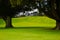 New Zealand Golf Course green