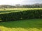 New Zealand: green farm fields