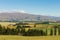 New Zealand highland green glass field with mountain background