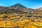 New Zealand Hiking Couple Backpackers Tramping At Tongariro National Park. Male and female hikers hiking by Mount