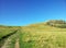 New zealand hill top grassland