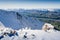 New zealand mountains in winter