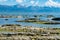 New Zealand natural beach and mountain