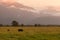 New Zealand natural landscape during sunrise