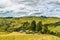 New Zealand nature farmland green valley landscape with trees. Travel destination