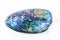 New Zealand Paua shell