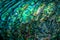 New Zealand paua shell background