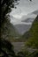 New Zealand, rain forest Franz Josef glacier view road