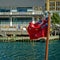 New Zealand Red Ensign flag on a boat.