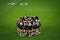 New Zealand rugby team Kiwis circled in at a field