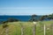 New zealand rural and coastal scene.