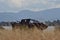 New Zealand shipwreck hidden in the swamp