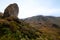 New Zealand Southern Alps Alpine tundra, rocks, high altitude wild vegetation and native flora in fog