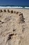 New Zealand: summer beach sand castles