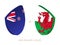 New Zealand v Wales, icon for rugby tournament