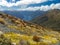 New Zealand Valley Landscape