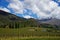 New Zealand, View of wineyards Gibbston, Otago