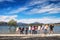 NEW ZEALAND, WANAKA - JANUARY 2016: A group of friends standing in a row in front of the famous Wanaka Tree. Wanaka is a popular