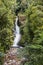 New Zealand waterfall in forest