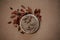 Newborn autumn photography backdrop - white bowl on neutral beige and brown background with fall leaves and yellow center layer