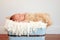 Newborn baby boy in light blue wood container